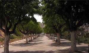 promenade de Letang une allee 